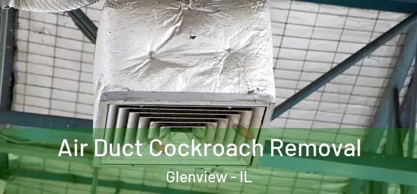  Air Duct Cockroach Removal Glenview - IL
