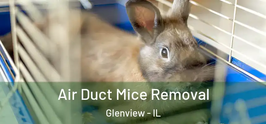  Air Duct Mice Removal Glenview - IL