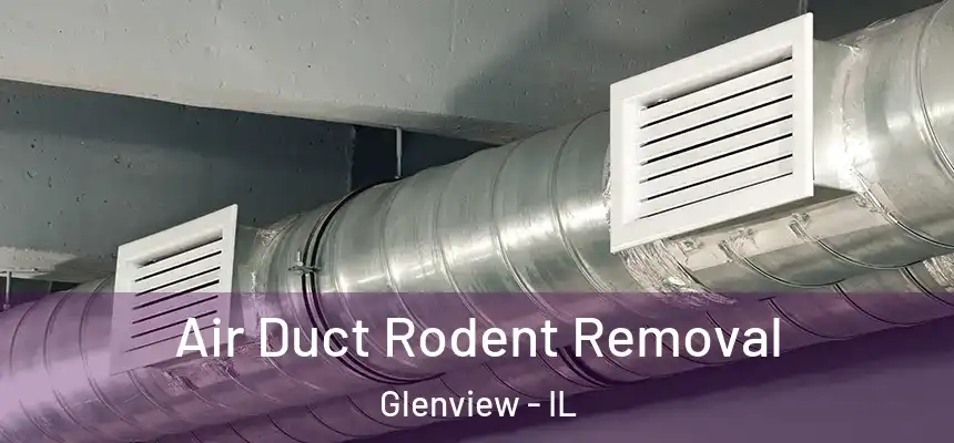  Air Duct Rodent Removal Glenview - IL
