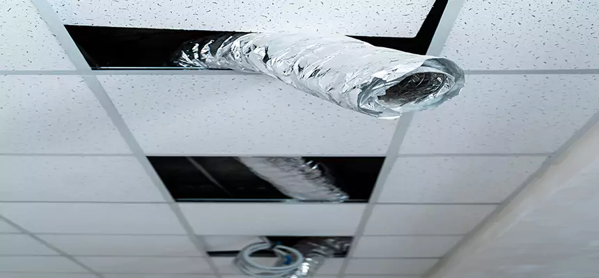 Our Air Duct Pet Hair Removal Services in Glenview, IL