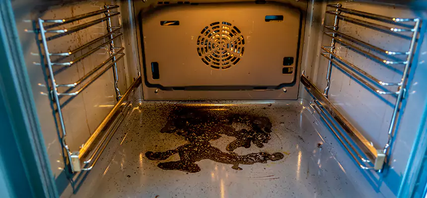 Our Dryer Vent Mold Cleaning Services in Glenview, IL