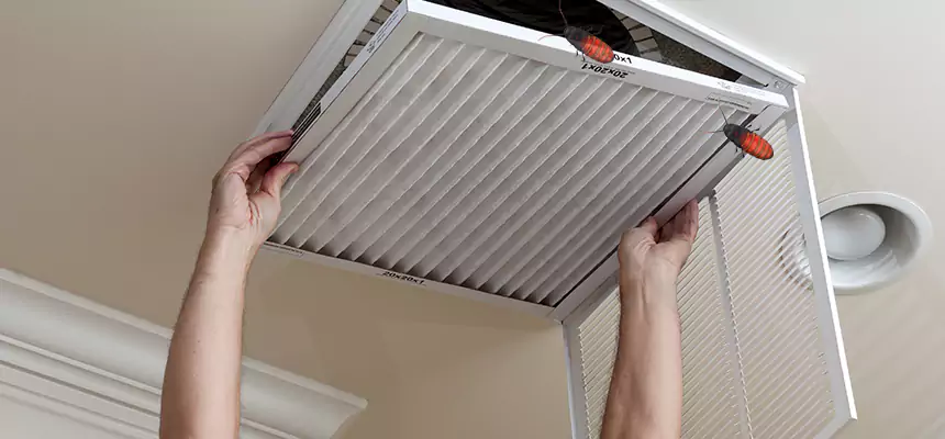 Our Insect Removal from Air Ducts Services in Glenview, IL