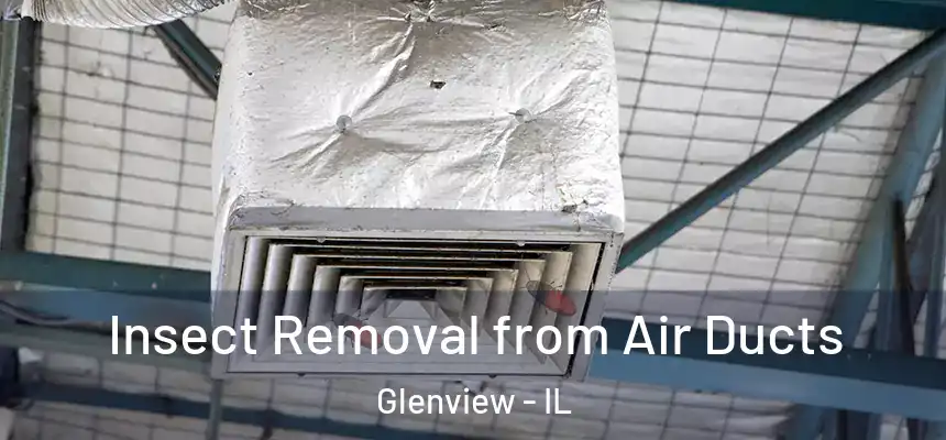  Insect Removal from Air Ducts Glenview - IL