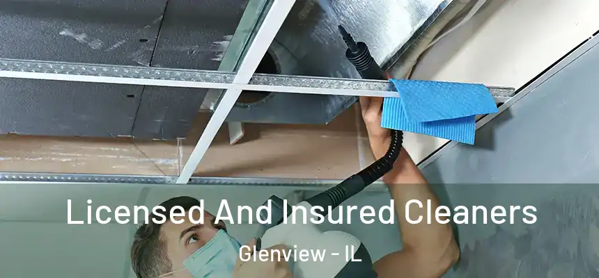  Licensed And Insured Cleaners Glenview - IL