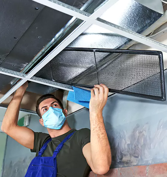 About Air Duct Bacteria Removal in Glenview