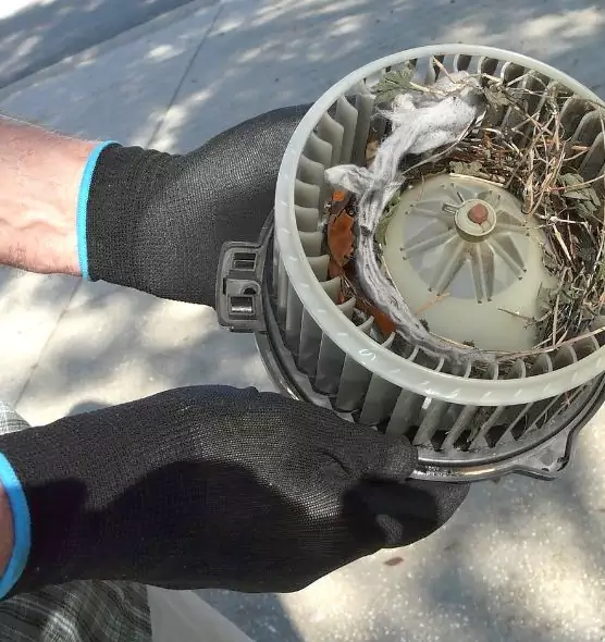 About Air Duct Rat Removal in Glenview, IL