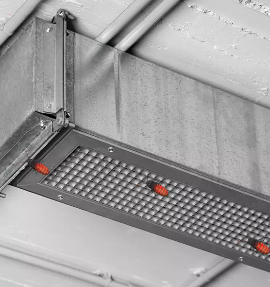 Affordable Insect Removal from Air Ducts in Glenview, IL