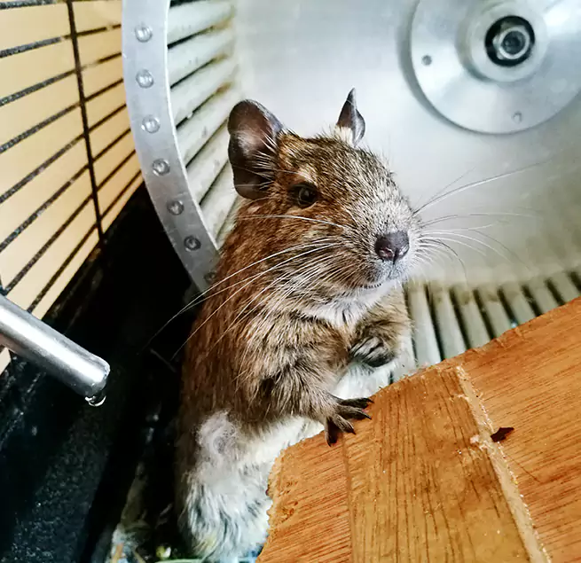 Why Homeowners & Businesses Trust Us Glenview, IL